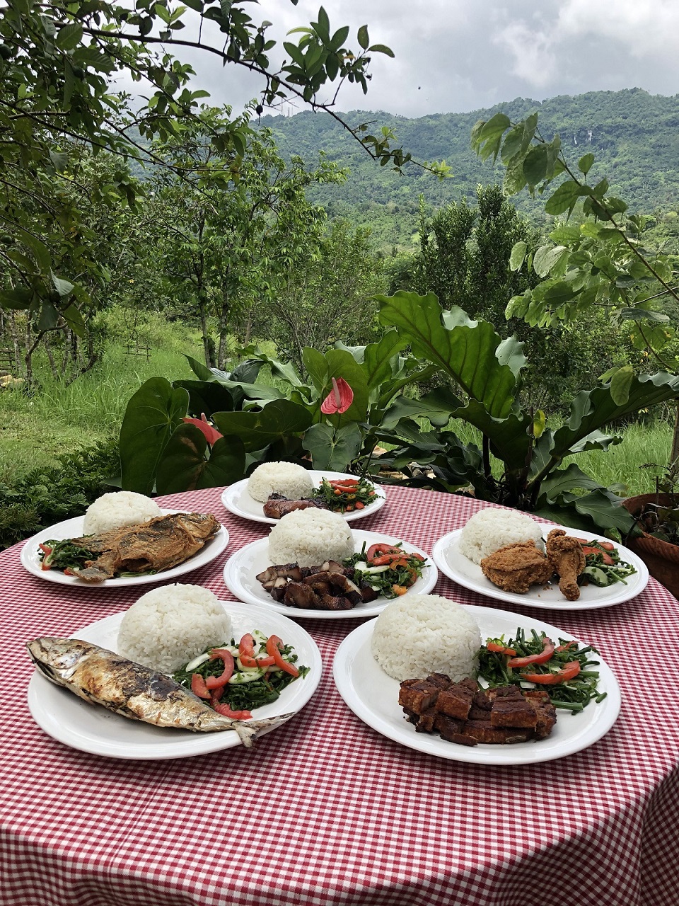 Assorted Plated Meals