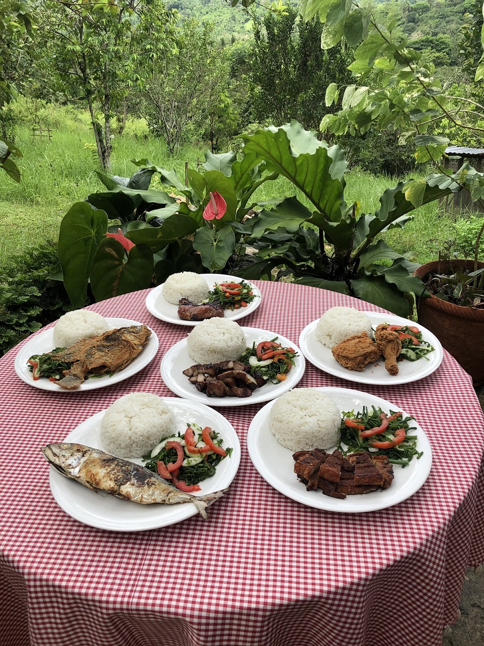 Assorted Plated Meals