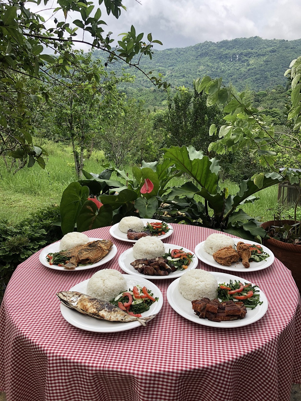 Assorted Plated Meals