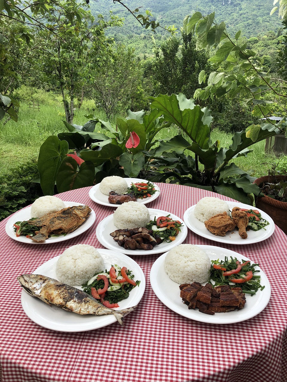 Assorted Plated Meals