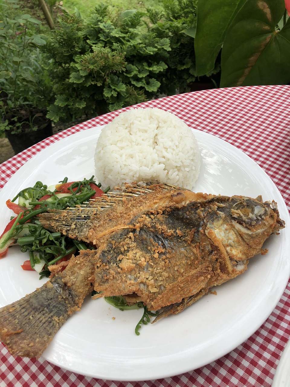 Ginger Fried Tilapia