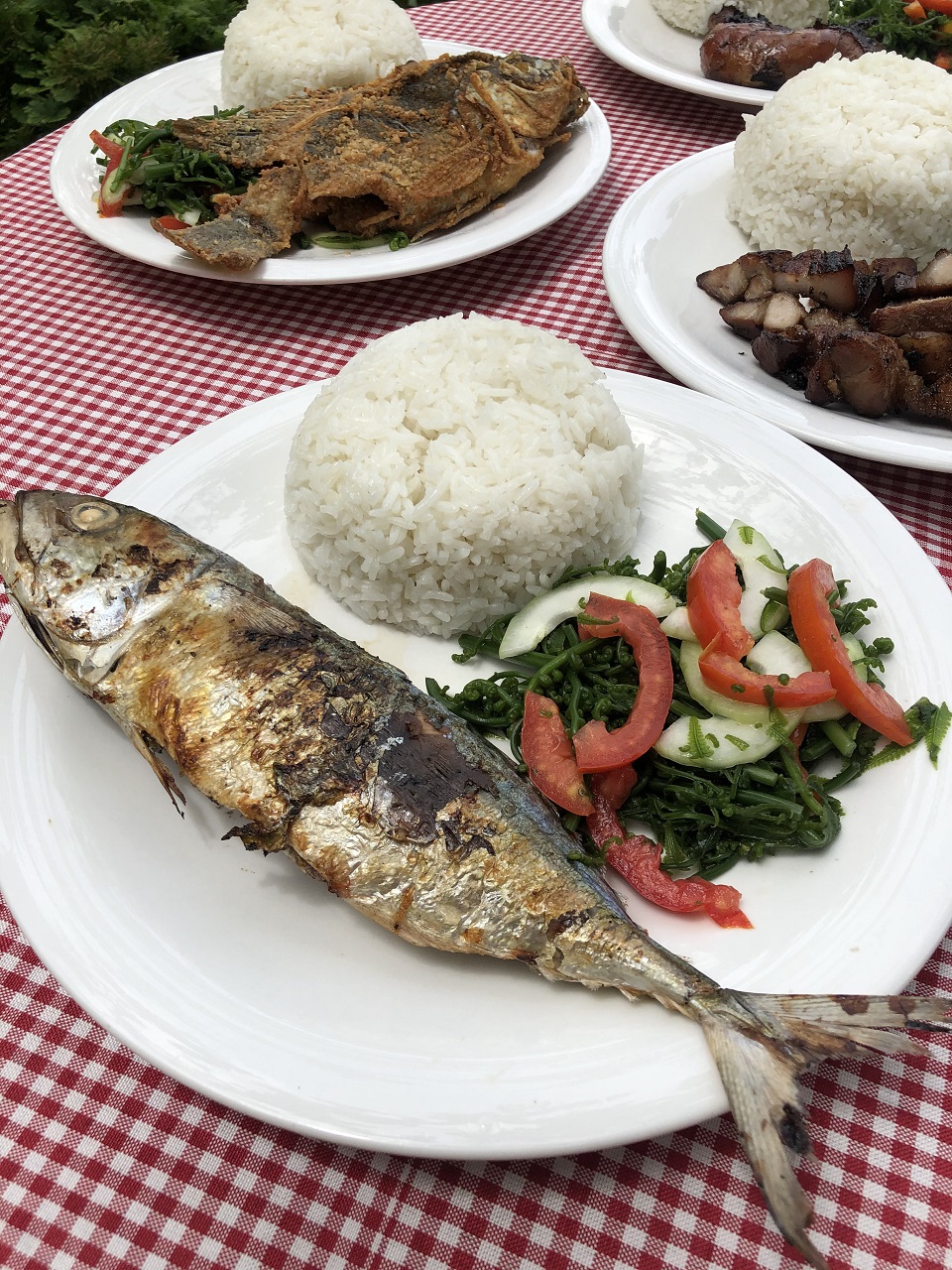 Grilled Fish