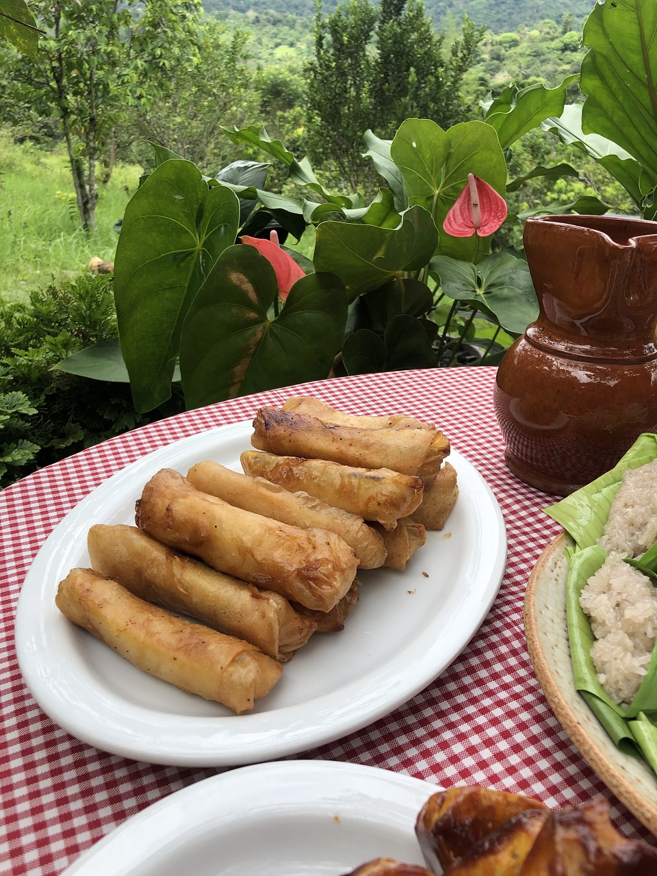 Banana Turon